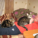  ,   , 46 ,     , c 