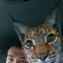 ���������� �������, ���� ������� ������, 30 ���, ������������ ��� ������, ����� � ���������, c�������� ���������, ���������