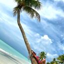 ���������� �����������, ���� ������� ����, 36 ���, ������������ ��� ������, ����� � ���������, c�������� ���������