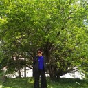  ,   , 41 ,   c , 