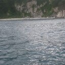 ���������� ���������, ���� ������� �����, 43 ����, ������������ ��� ������, ����� � ���������