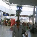 ���������� ������, ���� ������� �����, 41 ���, ������������ ��� ������, ����� � ���������, c�������� ���������