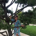 ���������� ���������, ���� ������� ��������, 44 ����, ������������ ��� ������, ����� � ���������