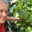 ���������� ������, ���� ������� ������, 64 ����, ������������ ��� ������, ����� � ���������, c�������� ���������