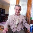 ���������� �������, ���� ������� Otari, 50 ���, ������������ ��� ������, ����� � ���������