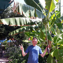 ���������� �����-���������, ���� ������� �������, 38 ���, ������������ ��� ������, ����� � ���������, c�������� ���������