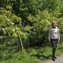  --,   , 53 ,     , c 