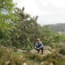 ���������� ������, ���� ������� �����, 41 ���, ������������ ��� ������, ����� � ���������