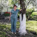 ���������� ������, ���� ������� ���������, 68 ���, ������������ ��� ������, ����� � ���������