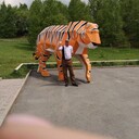 ���������� ������� ������, ���� ������� �������, 45 ���, ������������ ��� ������, ����� � ���������