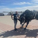 ���������� ���������, ���� ������� �������, 37 ���, ������������ 