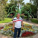  ,   , 55 ,   ,   
