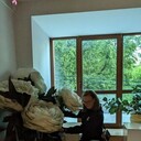 ���������� ������ ��������, ���� ����� ���������, 24 ����, ������������ ��� ������, ����� � ���������