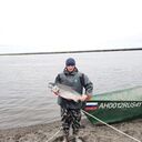 ���������� �������������-����������, ���� ������� �������, 34 ����, ������������ ��� ������, ����� � ���������