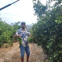  ,   Bsbsbdb, 40 ,   ,   