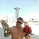 ���������� ��������, ���� ������� �������, 40 ���, ������������ ��� ����� � ���������, c�������� ���������