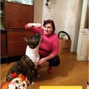  ,   , 54 ,   ,   , c 
