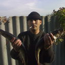 ,   Garibaldi687, 54 ,  