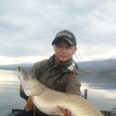 ���������� �������, ���� ������� ���� �����, 41 ���, ������������ ��� ������, ����� � ���������, c�������� ���������