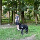  -,   , 25 ,   , 