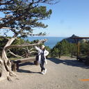 ���������� ������������, ���� ������� Arina, 54 ����, ������������ ��� c�������� ���������, ���������