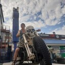 ���������� �������, ���� ������� ������, 37 ���, ������������ ��� ������, ����� � ���������, c�������� ���������