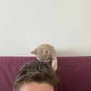  -,   Nikita, 35 ,   ,   , c 