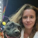 ���������� ���������, ���� ������� ��������, 28 ���, ������������ ��� ������, ����� � ���������