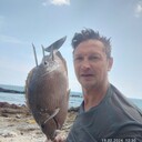  ,   , 43 ,   ,   