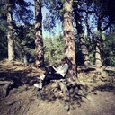 ���������� ����, ���� ������� ����, 34 ����, ������������ ��� ������, ����� � ���������, c�������� ���������