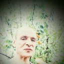  --,   Stipan, 41 ,   ,   , c 