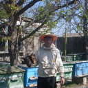  ,   , 66 ,   ,   , c , 