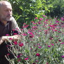 ���������� ����, ���� ������� Uriy, 63 ����, ������������ ��� ����� � ���������, c�������� ���������