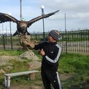 ���������� ���������, ���� ������� Megnas, 35 ���, ������������ ��� ������, ����� � ���������, c�������� ���������