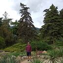 ���������� ������, ���� ������� ������, 36 ���, ������������ ��� ������, ����� � ���������, c�������� ���������, ���������