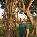 ���������� �������, ���� ������� ����, 39 ���, ������������ ��� ������, ����� � ���������, c�������� ���������