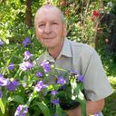 ���������� ��������, ���� ������� ��������, 66 ���, ������������ ��� ����� � ���������, c�������� ���������