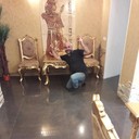 ���������� ������, ���� ������� �����������, 42 ����, ������������ ��� ������, ����� � ���������, c�������� ���������