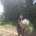  ,   , 38 ,   ,   , c 