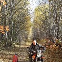 ���������� �������, ���� ������� �������, 38 ���, ������������ ��� ������, ����� � ���������, c�������� ���������