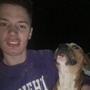 ���������� ��������������, ���� ������� ���, 31 ���, ������������ ��� ������