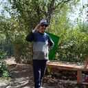  ,   Icbol, 70 ,   ,   