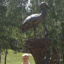  ,   , 31 ,   ,   , c , 