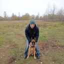 ���������� ������, ���� ������� ����, 36 ���, ������������ ��� ������, ����� � ���������, c�������� ���������