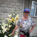  ,   , 55 ,  