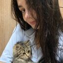   ,   , 21 ,     , c , 