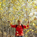  Warszawa,   , 57 ,   ,   , c 