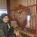 ���������� ������, ���� ������� ����������, 35 ���, ������������ ��� ������, ����� � ���������