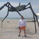 ���������� �����������, ���� ������� Il, 47 ���, ������������ 