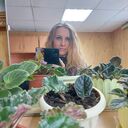  ,   , 40 ,   ,   